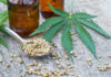 CBD Oil