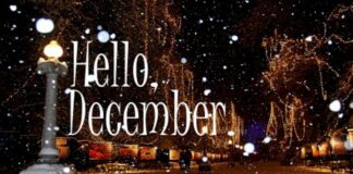 December Global Holidays