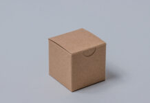 Kraft boxes