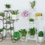 Wooden Plant Stand