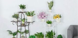 Wooden Plant Stand
