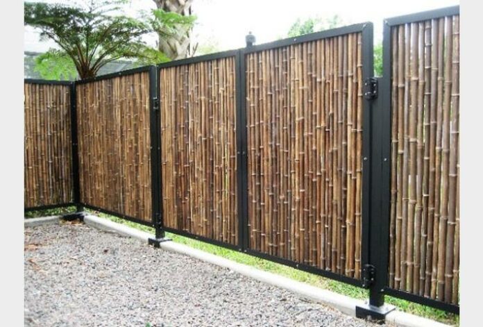 Bamboo Fencing