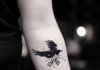 8 Reasons You Should Get A Raven Tattoo Sooner Rather Than Later Raven Tattoo Sooner
