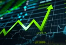 Netweb Technologies India Share Price