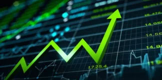 Netweb Technologies India Share Price