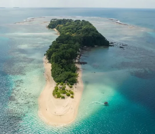Jolly Buoy Island Andaman: Your Guide to an Unspoiled Tropical Paradise Jolly Buoy Island Andaman