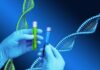 Cardio Genetics Test: Understanding the Role of Genetic Testing in Heart Health Cardio Genetics Test