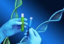 Cardio Genetics Test: Understanding the Role of Genetic Testing in Heart Health Cardio Genetics Test