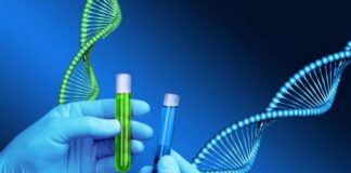 Cardio Genetics Test: Understanding the Role of Genetic Testing in Heart Health Cardio Genetics Test